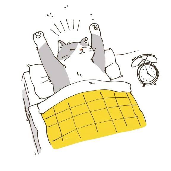 起きました❣️