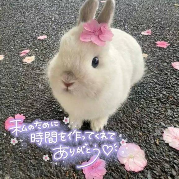 シオン【惑わせ小悪魔の誘惑】