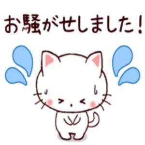 エリカ【漏れる吐息に秘密の情事】