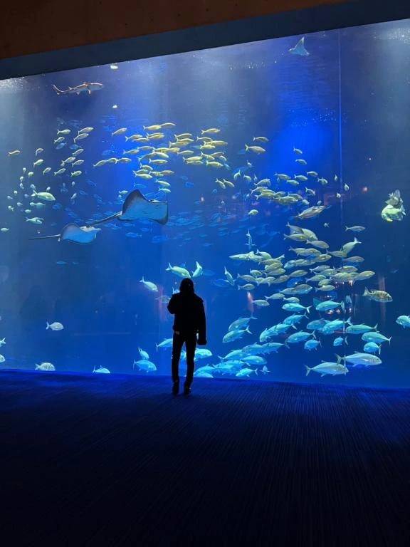 加藤きき【痴女の宅急便】