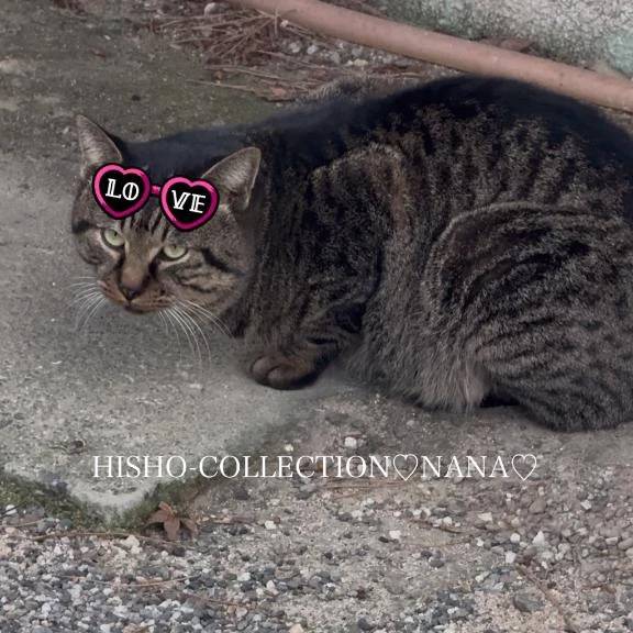 伊東 なな【SSR級推しフラグ】