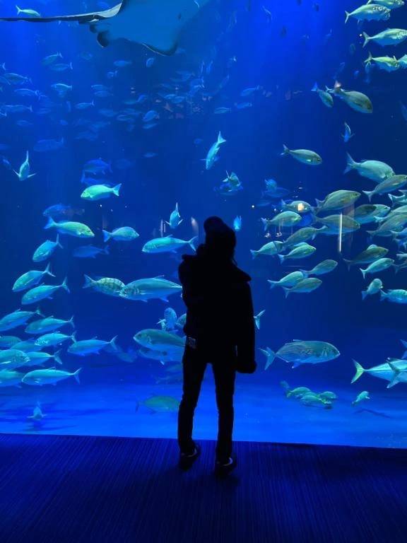 加藤きき【痴女の宅急便】