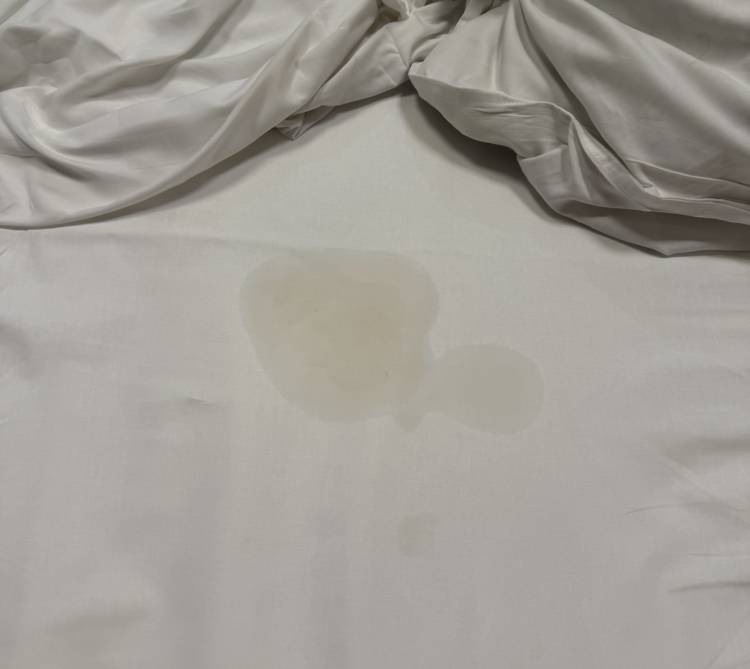 お潮吹いちゃった🫣