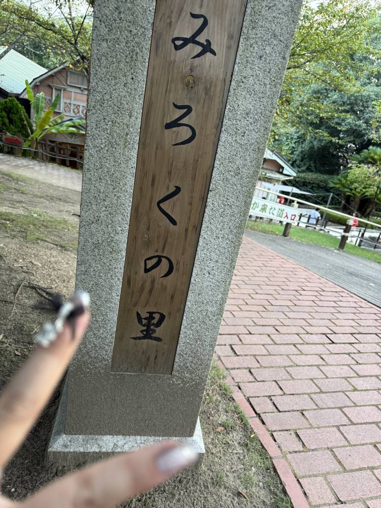 おはよございます☀️