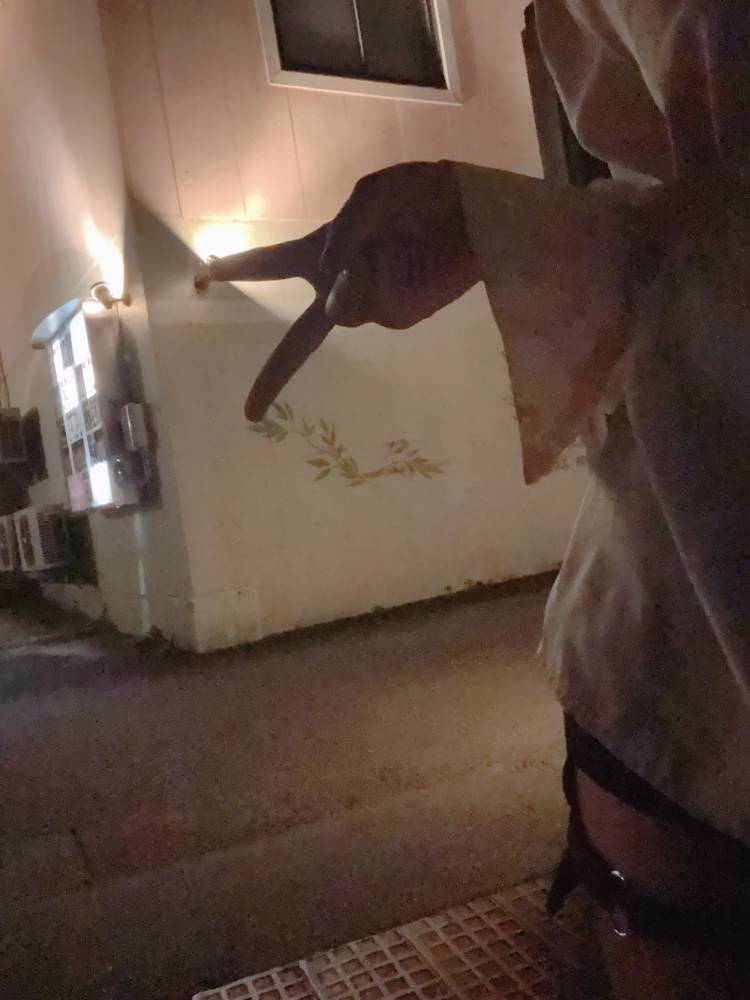では行ってきます🐰