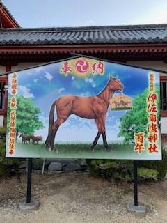 明けましておめでとう御座います🎍🌅