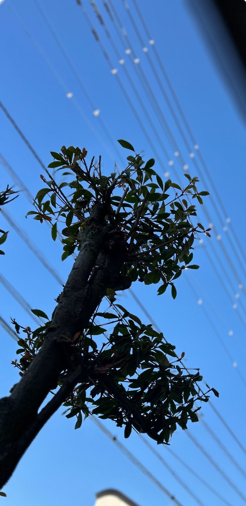 おはようございます☀️