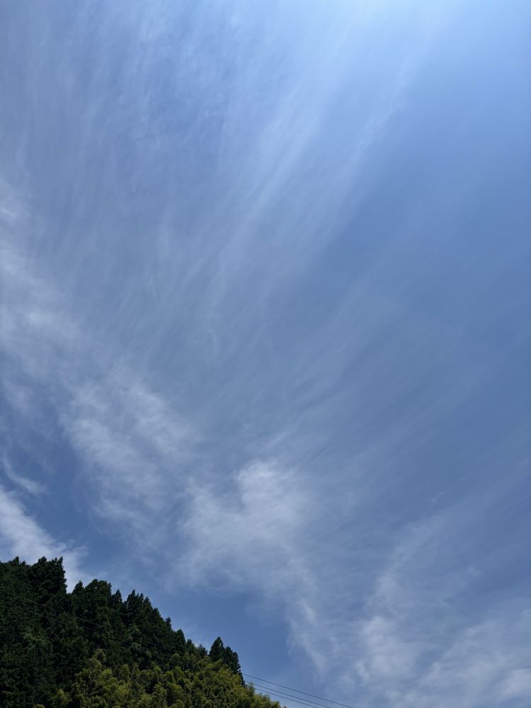 こんにちはー☺️✨