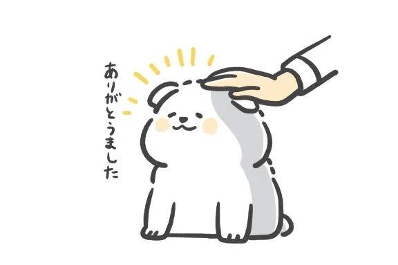感謝です‪💕︎︎