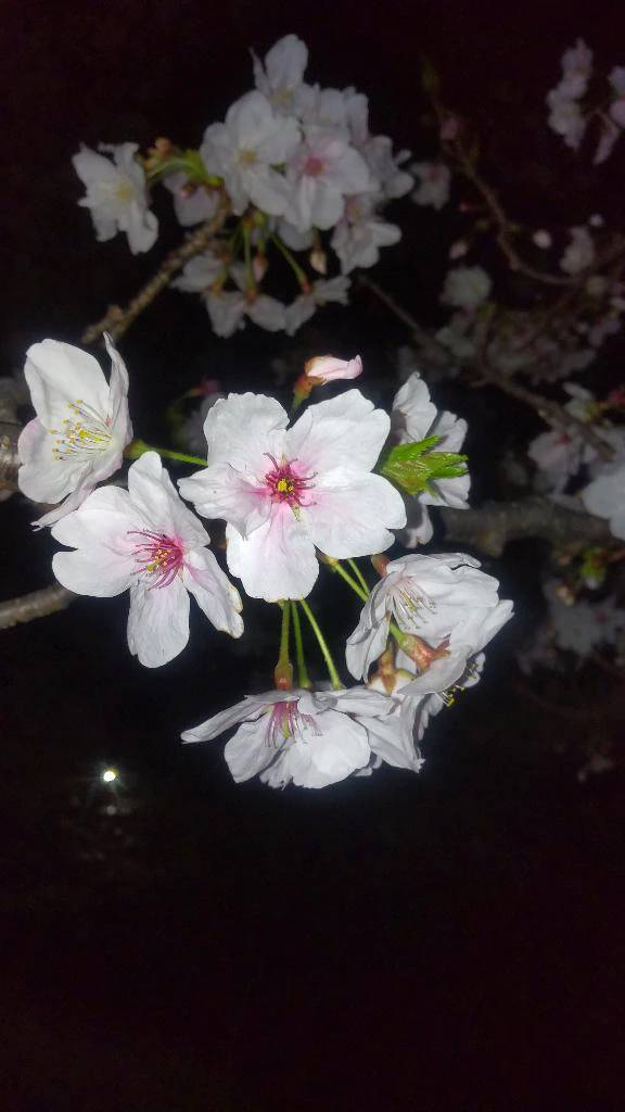 感謝♡