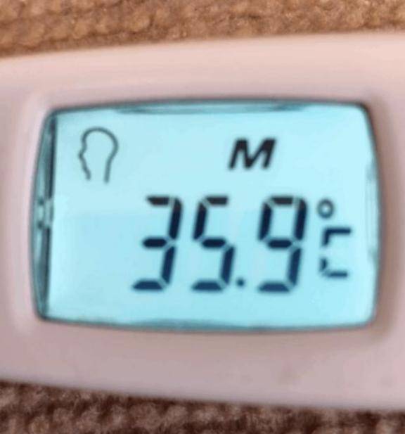 こんにちは！