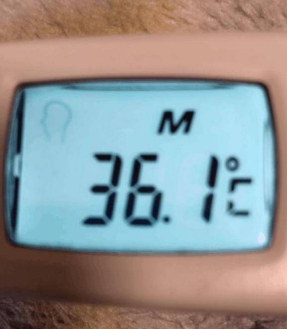 こんにちは！