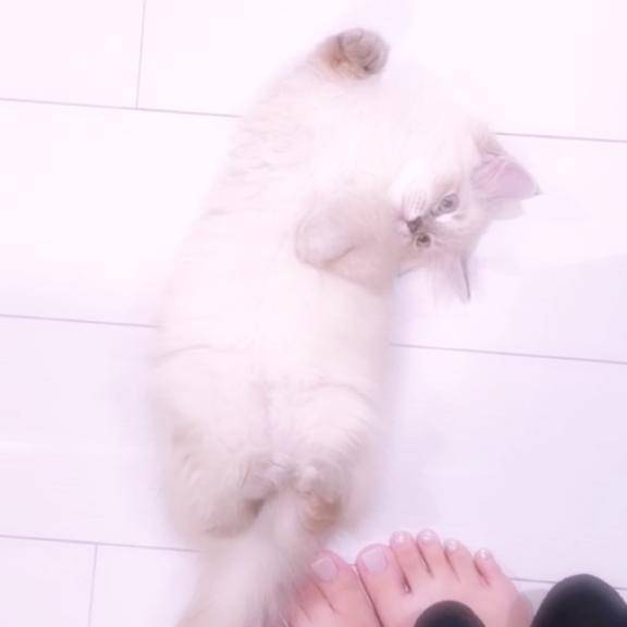 お礼😆✨