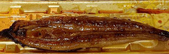 ゆめか【えちえちニューハーフ♡】