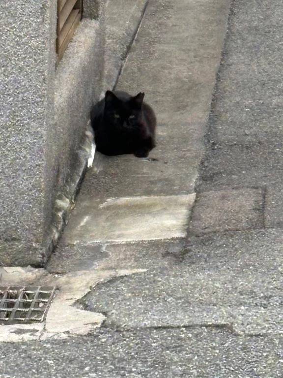 だいすきな季節になりました🍃🍃