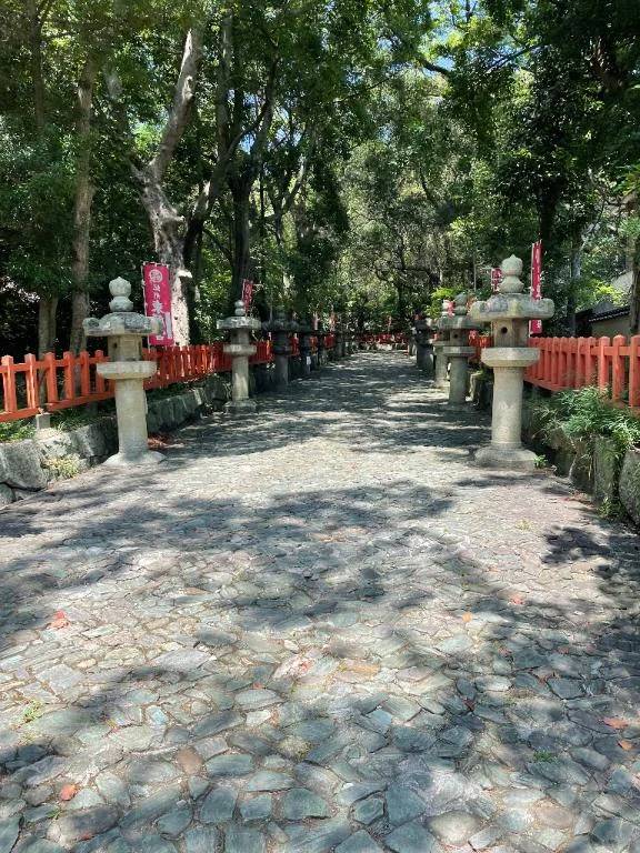 季節の変わり目🌻🍂