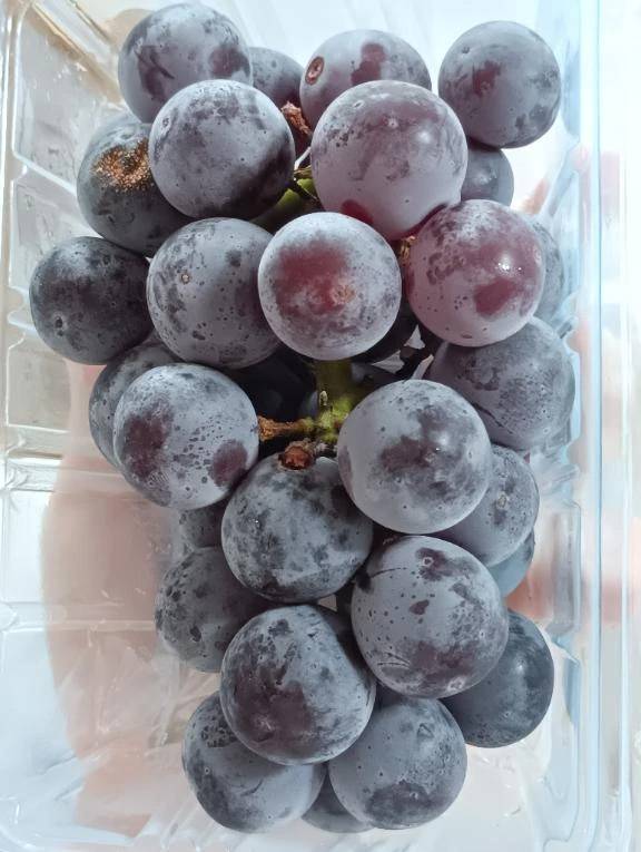 ピオーネさん🍇