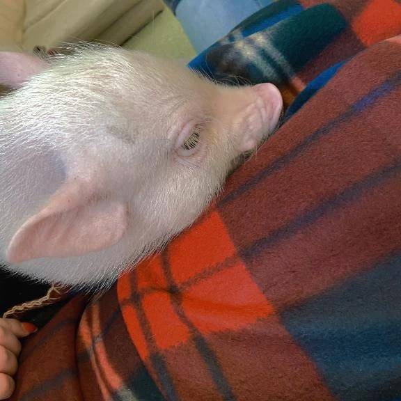 50の質問（⑮）📄