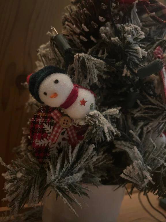 おれい🫶🏻︎💕︎︎