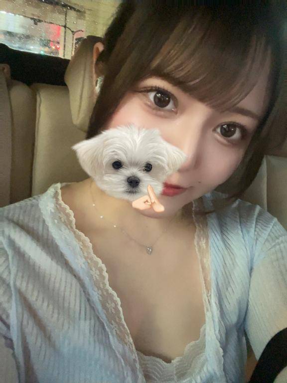 短いですが対よろです?