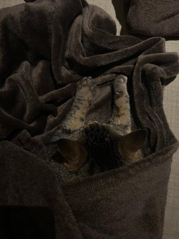 あおい☆天性の心配りと気遣い☆