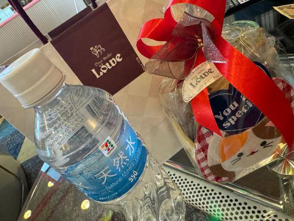 あずは☆合法ロリ美少女☆