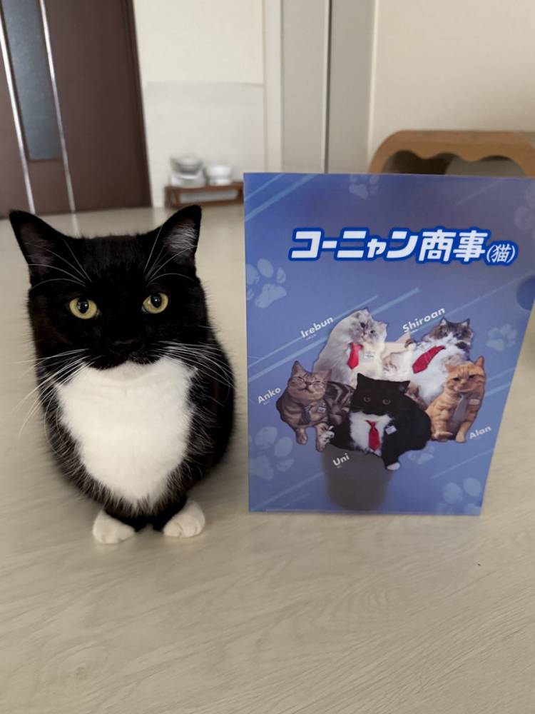 無題