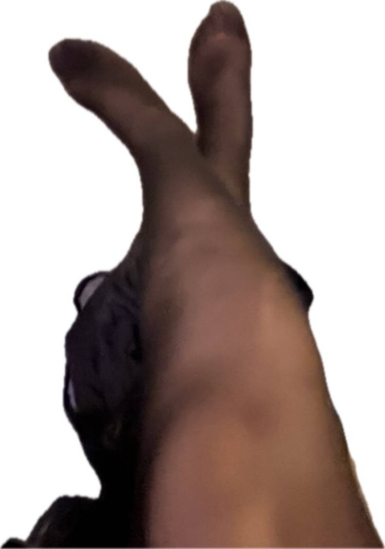 ありがとう