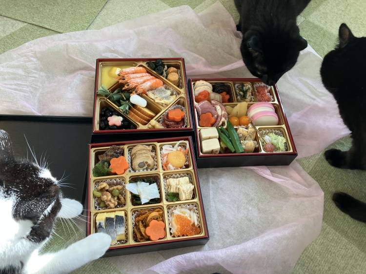 明けましておめでとう御座います