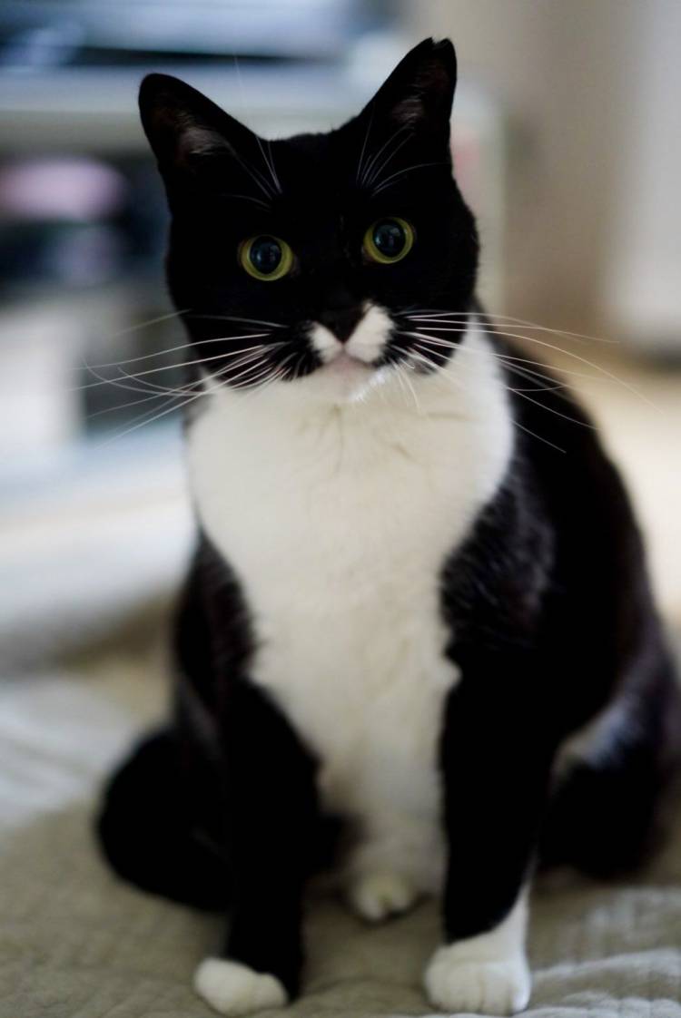 皆様お疲れ様ですおやすみなさい