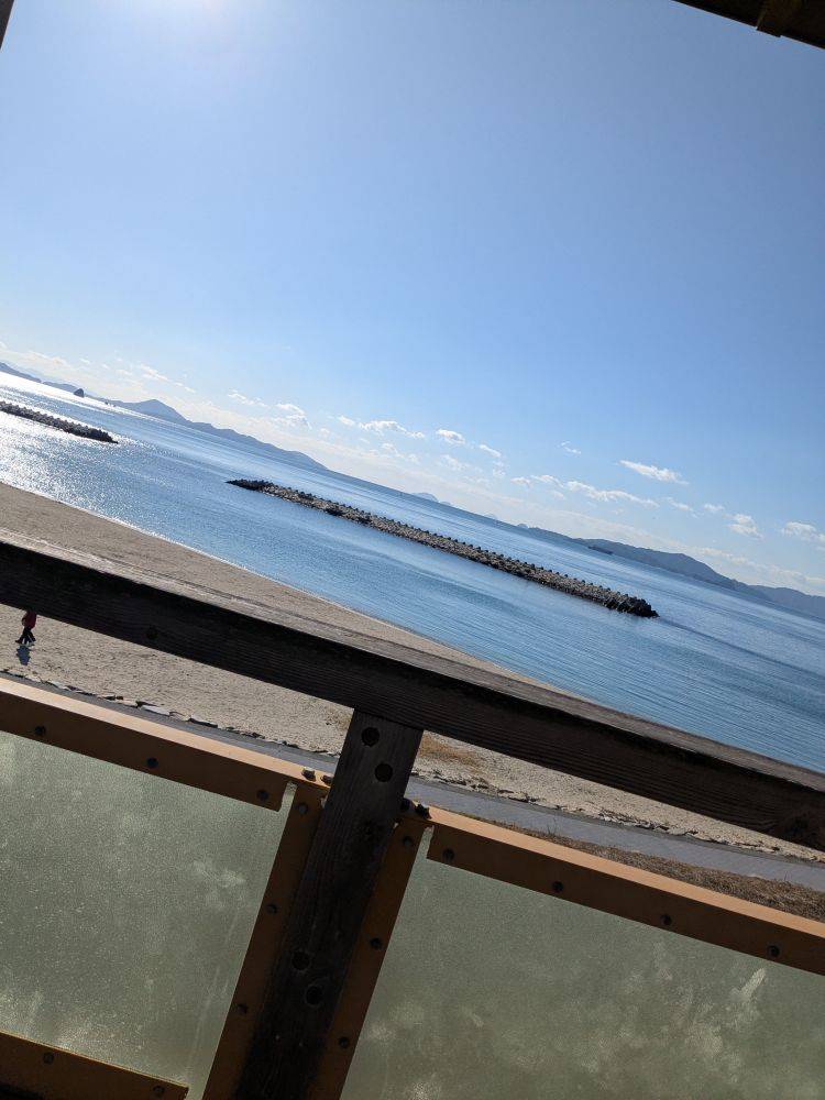 【プリン柔らかめor硬め】