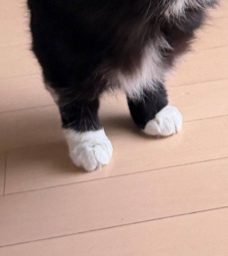 お題：料理で失敗ある？に回答♪