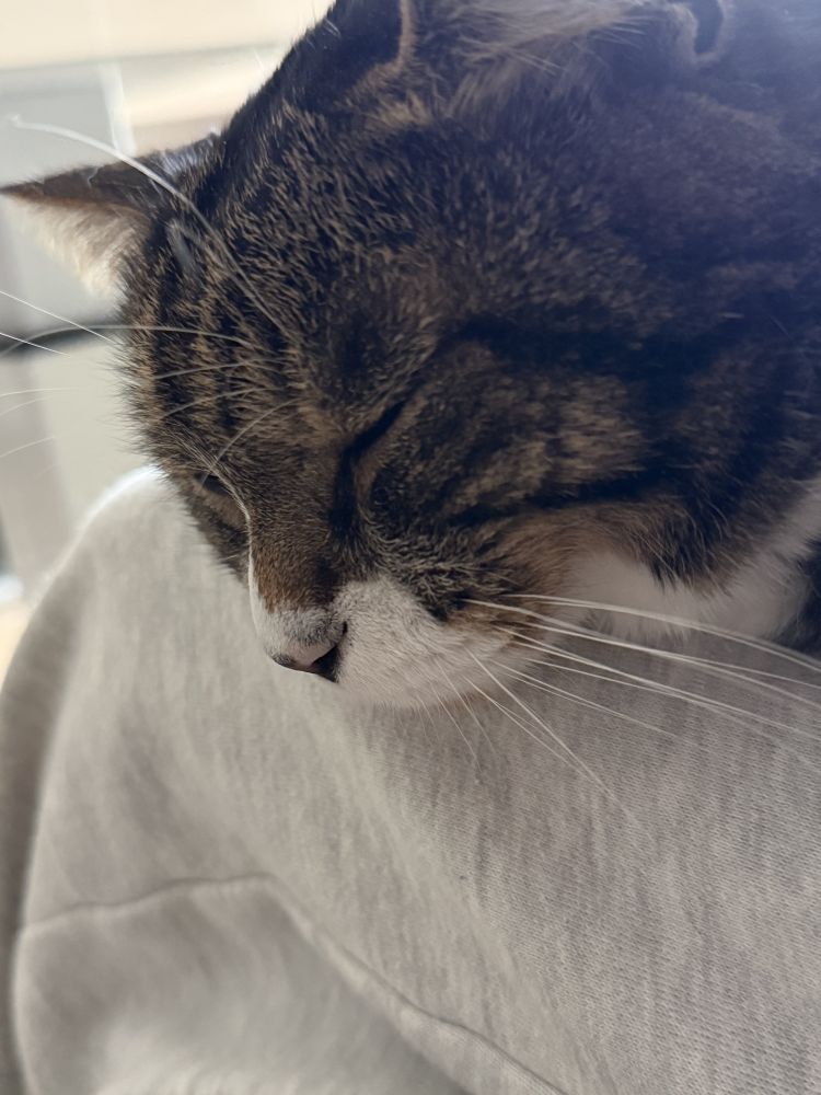 【男女の友情は成立するorしない】