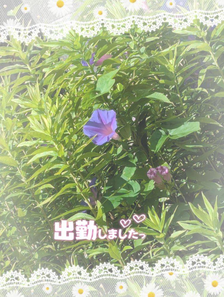 ゆうこ（借金妻(今治・西条・新居浜)）