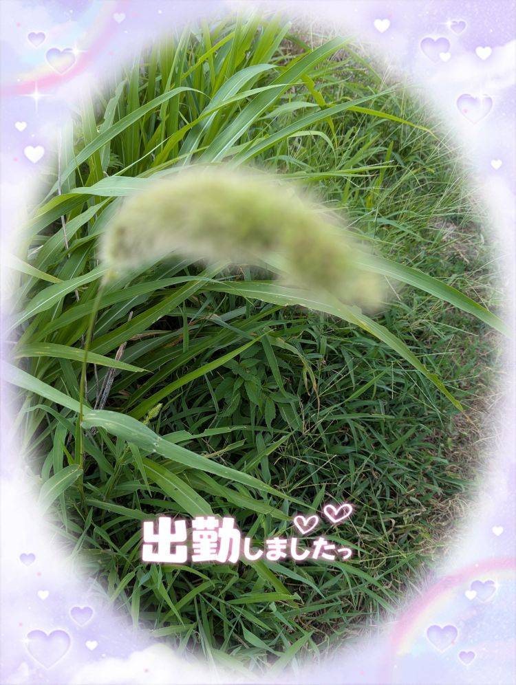 ゆうこ