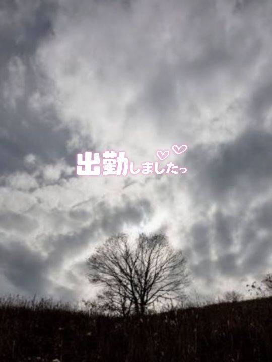 出勤しました('  ' )