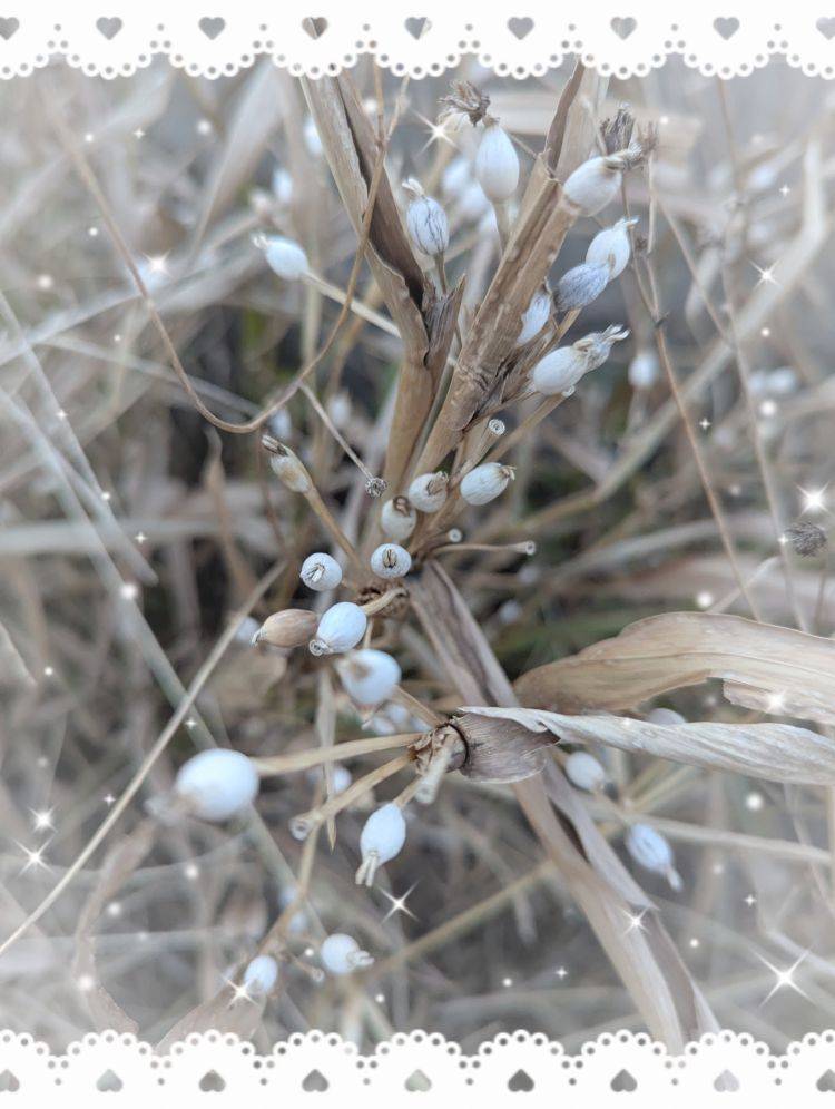 出勤しました('  ' )