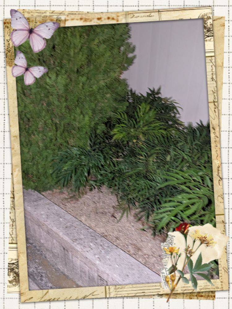 出勤しました('  ' )