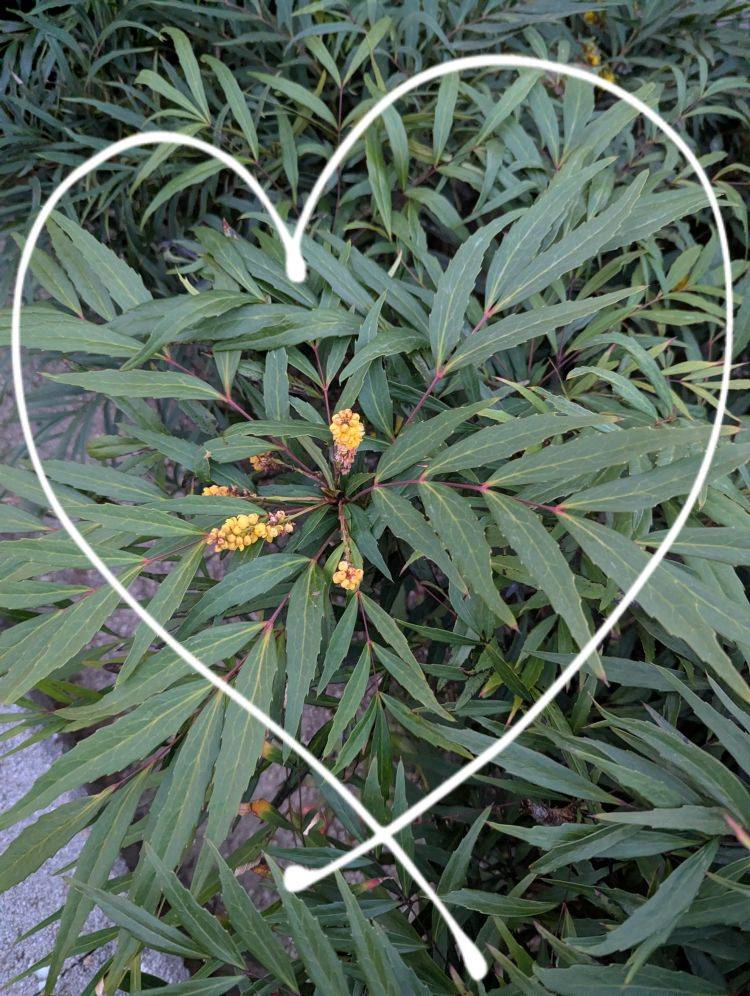 出勤しました('  ' )