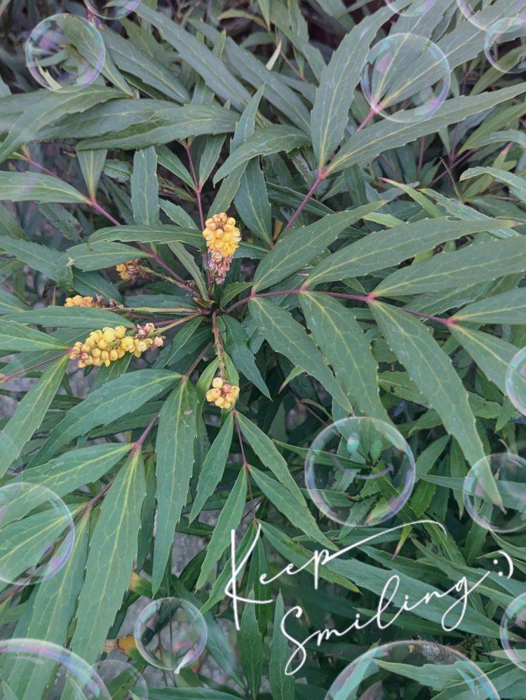 出勤しました('  ' )