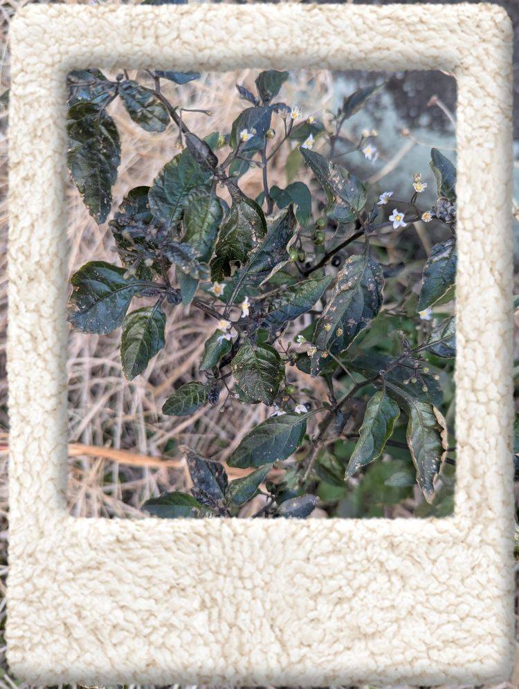 出勤してます('  ' )