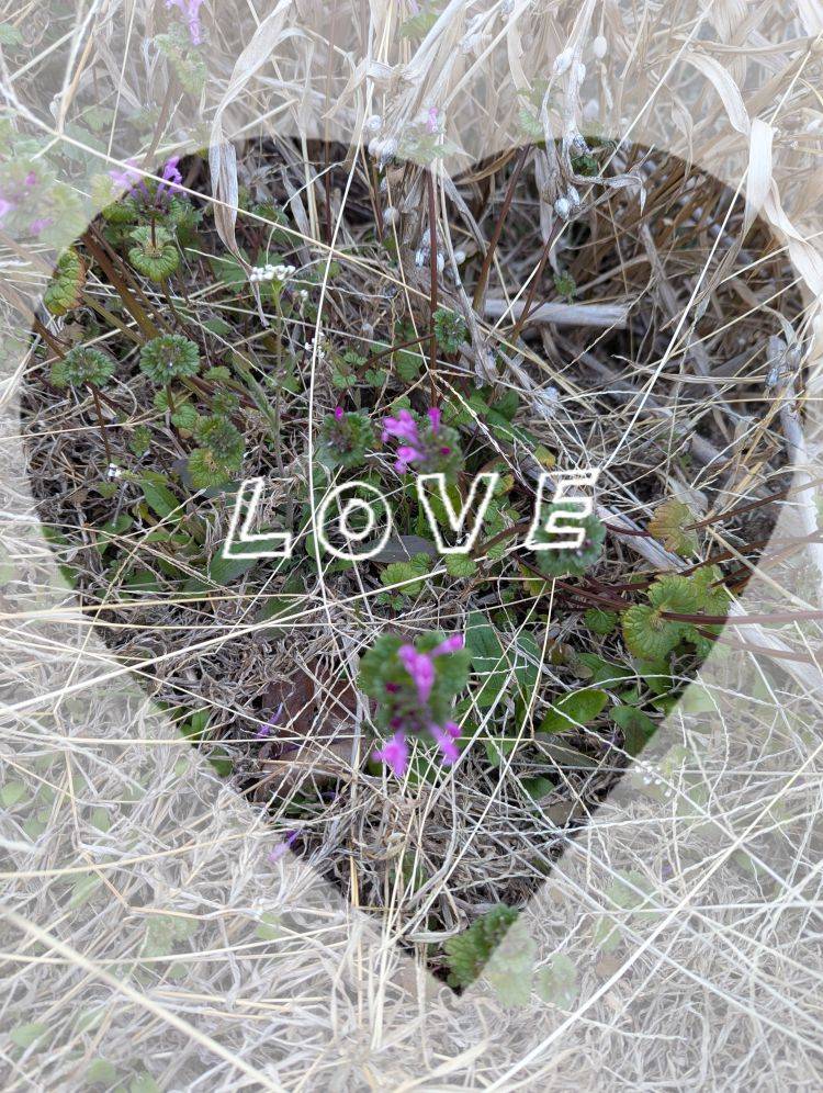 出勤しました('  ' )