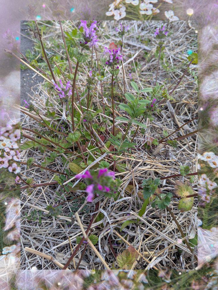 出勤しました('  ' )