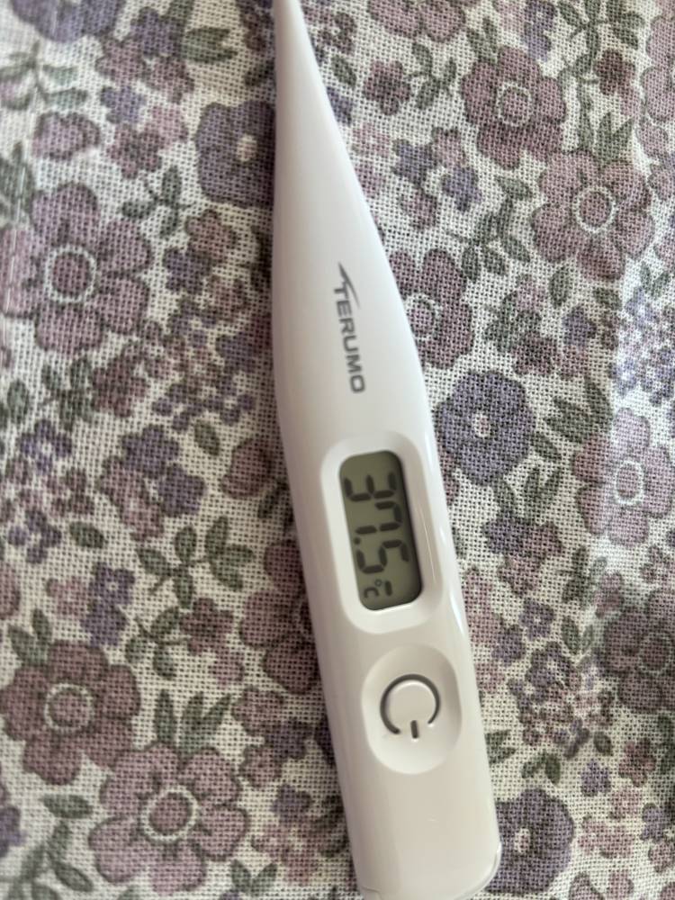 お熱を出しました