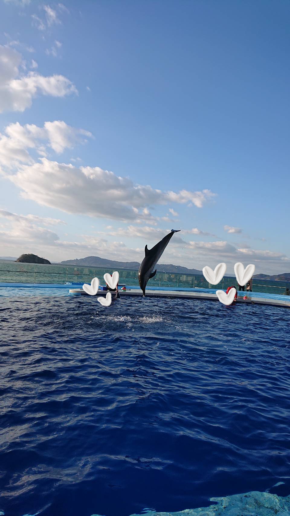 好き・苦手…☆゛