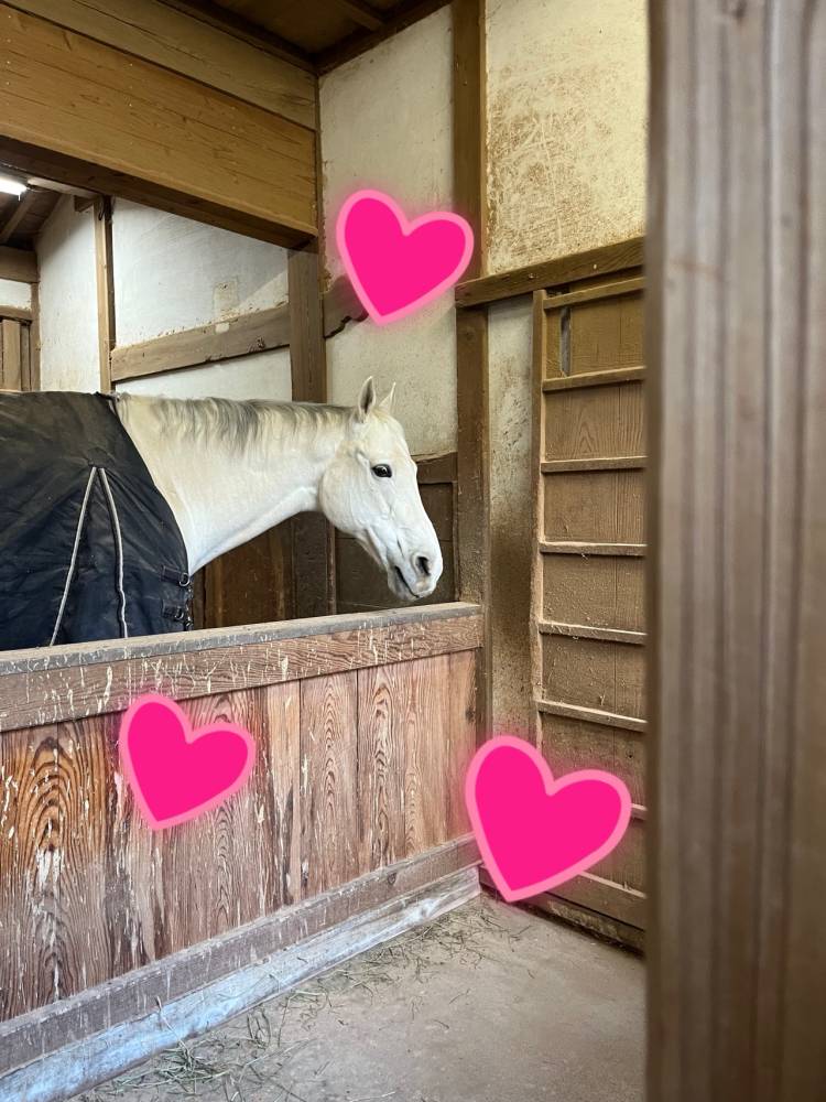 まどか（人妻熟女ファイル 高松店）