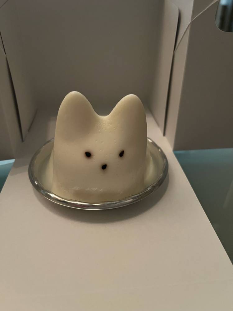 おはようございます◡̈♥︎