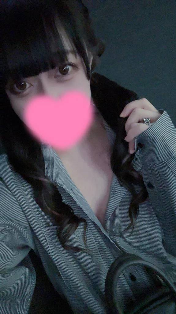 にゃっはろ〜🐱🌸