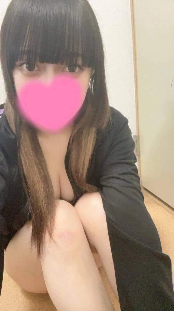 にゃっはろ〜🐱🌸