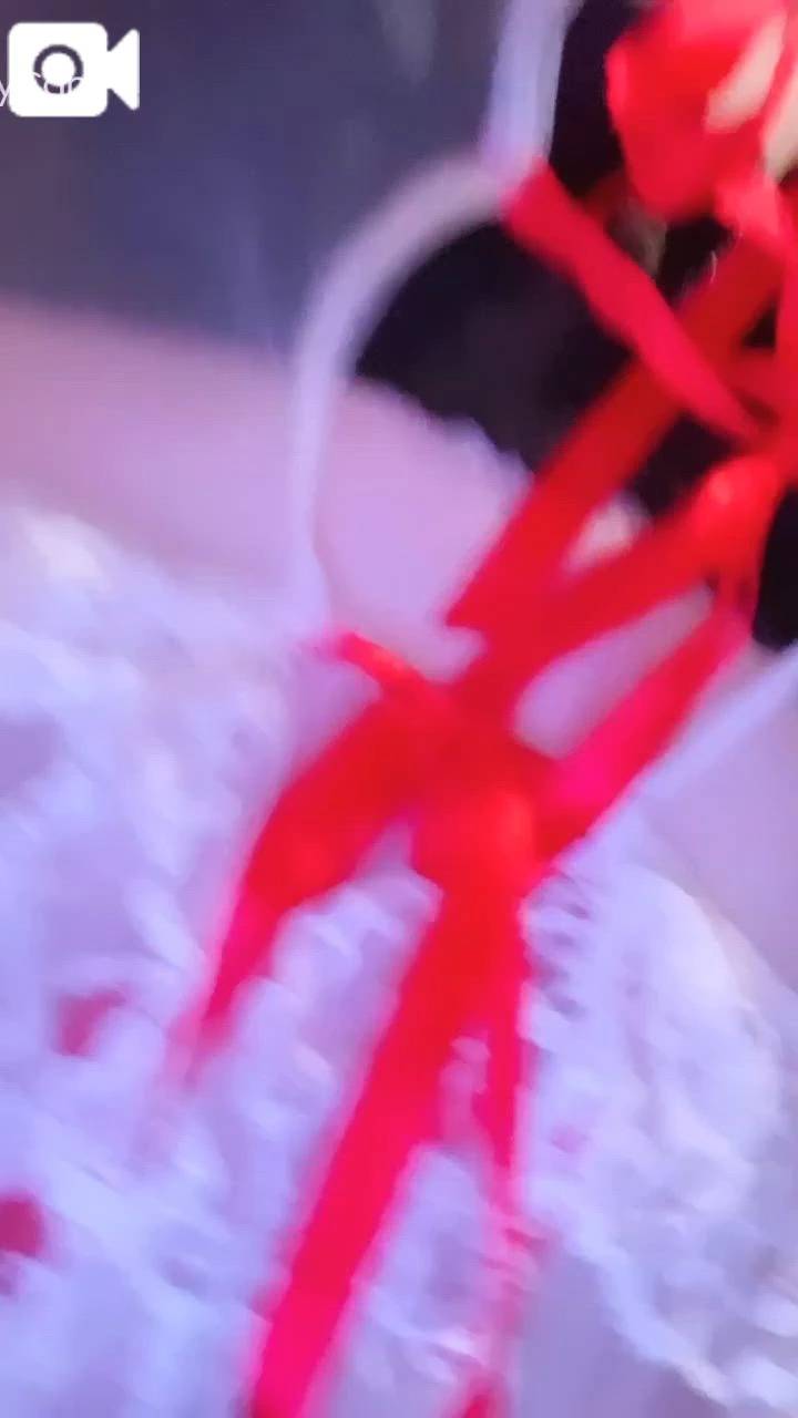 スケスケコスプレ